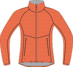 R4 Alpine Stretchfleece Jacket Women