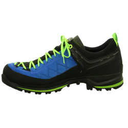 Mountain Trainer GTX