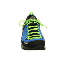 Mountain Trainer GTX