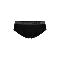 Anatomica Briefs