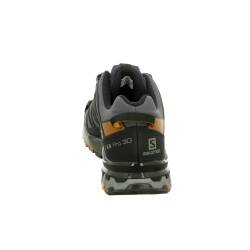 XA Pro 3D V8 GTX