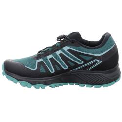 Lioneer GTX