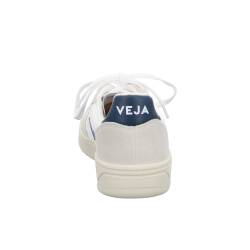 V-10 Mesh