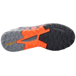 Terrex Agravic Flow GTX