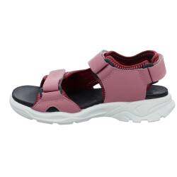 Biom Raft