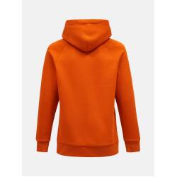 Original Small Logo Hood