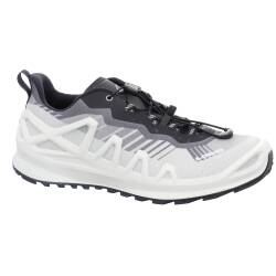 Merger GTX LO