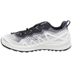 Merger GTX LO