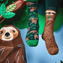 Sloth Life