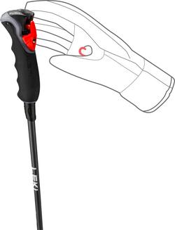 Carbon 12 3D