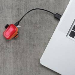 Click USB Rear Light PDQ