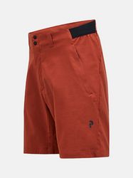 Commuter Shorts