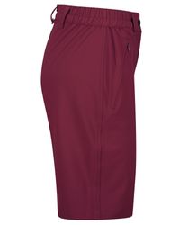 Tour Stretch Bermudas