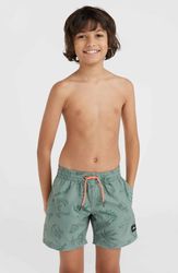 Mix & Match Cali Print 13 Swim Shorts