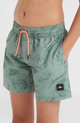 Mix & Match Cali Print 13 Swim Shorts