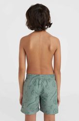 Mix & Match Cali Print 13 Swim Shorts
