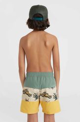 Mix & Match Cali Block 13 Shorts