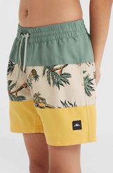 Mix & Match Cali Block 13 Shorts