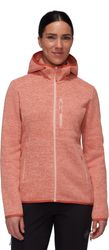 Arctic IV ML Hooded Jacket