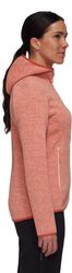 Arctic IV ML Hooded Jacket