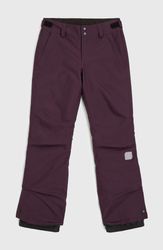 Star Regular Snow Pants