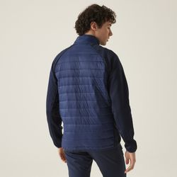 Clumber IV Hybrid