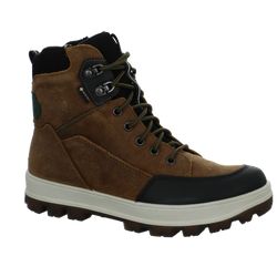 Tedd GTX