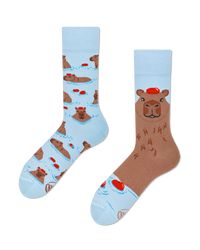 Capybara