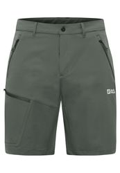 Pico Trail Shorts