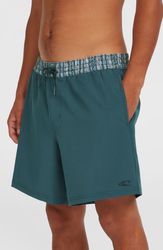 Pocket Print 16 Swimshorts