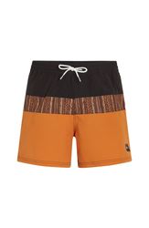 Cali Block 15 Swimshorts