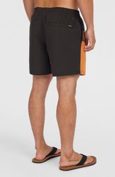 Cali Block 15 Swimshorts