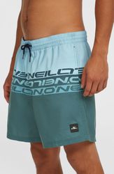 Cali Stripe 16 Swimshorts