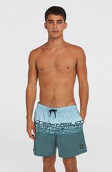 Cali Stripe 16 Swimshorts