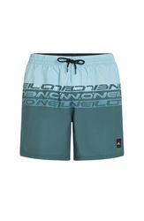 Cali Stripe 16 Swimshorts