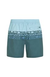 Cali Stripe 16 Swimshorts