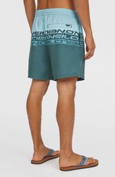 Cali Stripe 16 Swimshorts