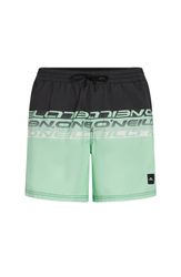 Cali Stripe 16 Swimshorts
