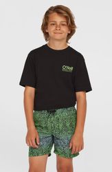 O`Neill Cali 14 Swim Shorts