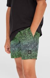 O`Neill Cali 14 Swim Shorts
