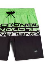 O`Neill Cali Stripe 14 Swim Shorts