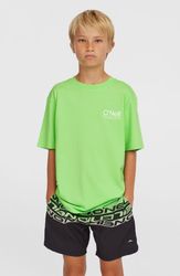 O`Neill Cali Stripe 14 Swim Shorts