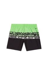 O`Neill Cali Stripe 14 Swim Shorts