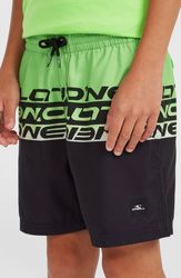 O`Neill Cali Stripe 14 Swim Shorts