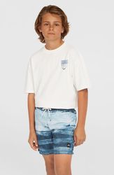 O`Neill Cali Gradient 14 Swimshorts
