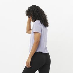 Shkout Air Crop SS Tee