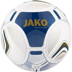 Trainingsball Prestige Gr.5