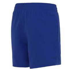 Essential 4 Volley Shorts