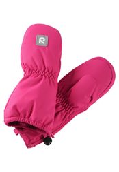 Tassu Mittens