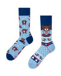 Winter Teddy